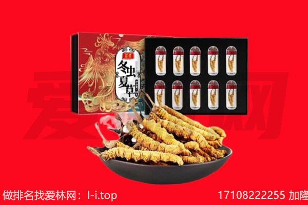 郴州市回收虫草.jpg